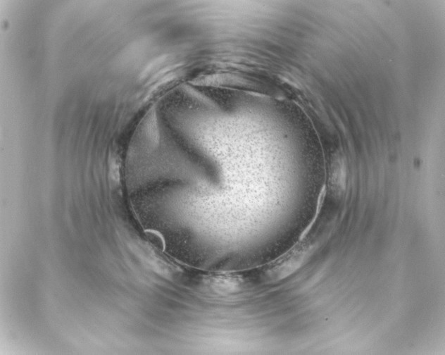 X0000088440282200705291615