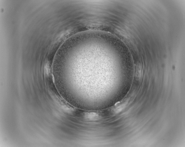 X0000088440287200705291615