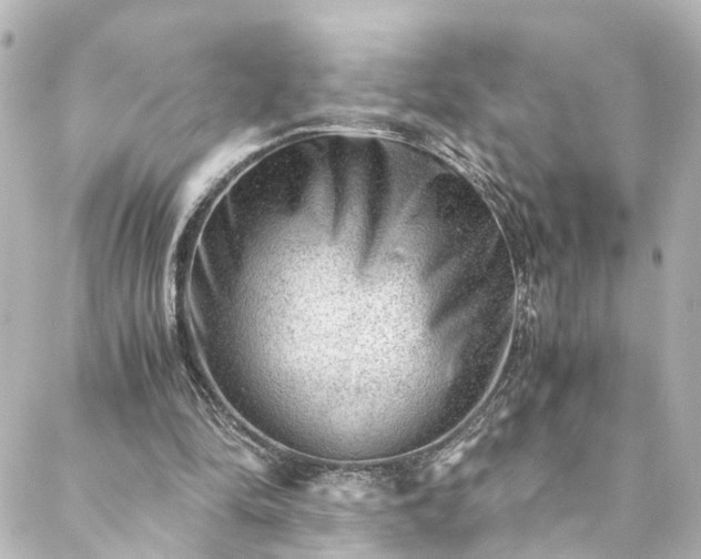 X0000088440294200705291614