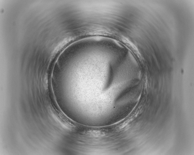 X0000088440298200705291614