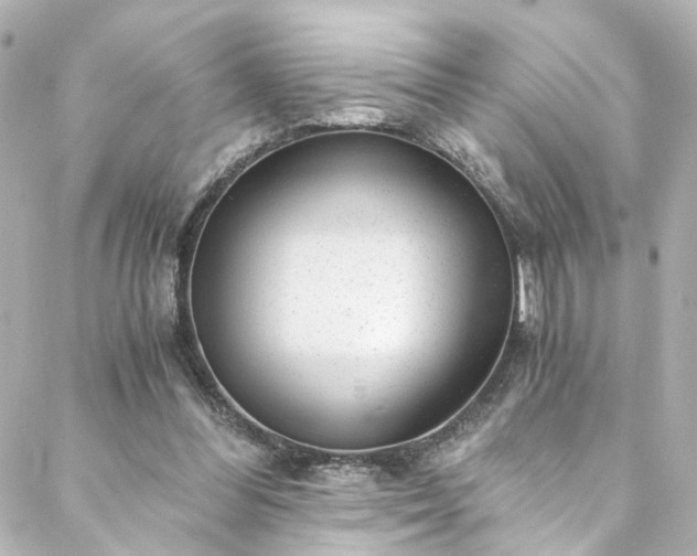 X0000088440300200705291614