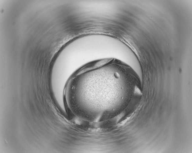 X0000088440301200705291614