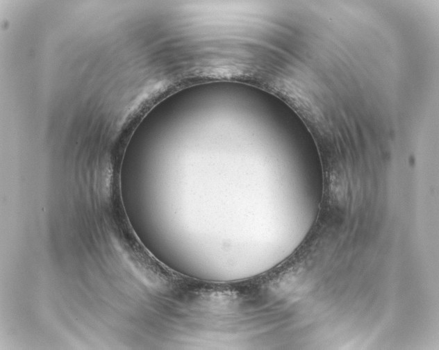 X0000088440304200705291614