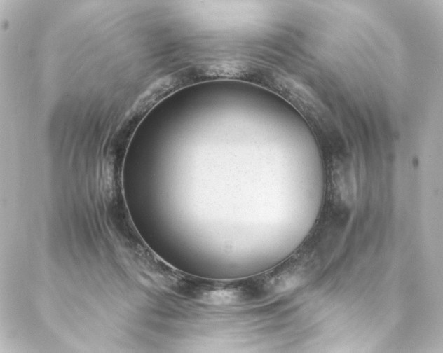 X0000088440312200705291614