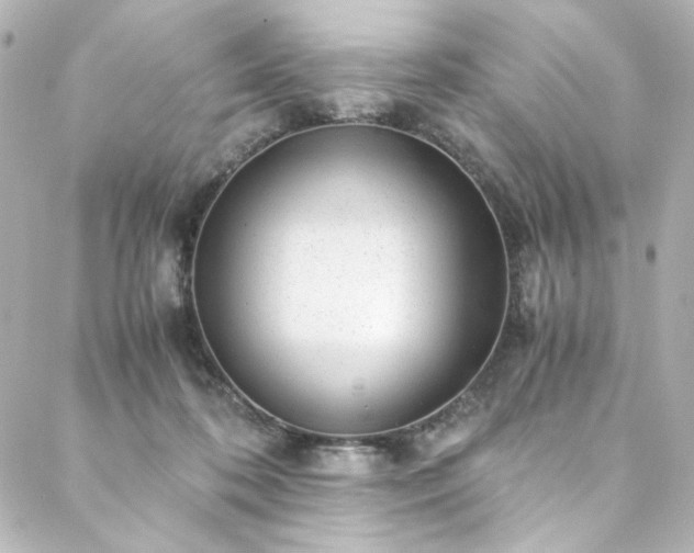 X0000088440316200705291614