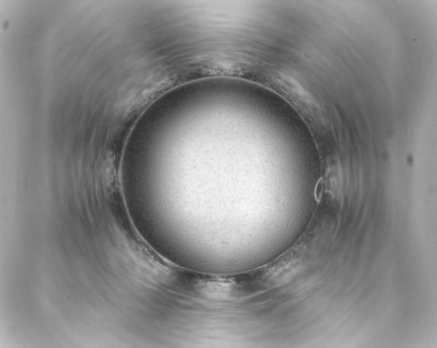 X0000088440318200705291614
