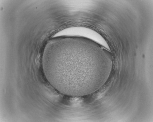 X0000088440319200705291614