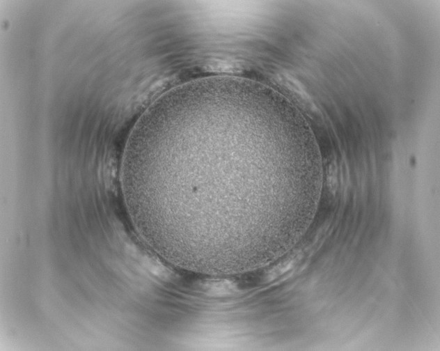 X0000088440322200705291614
