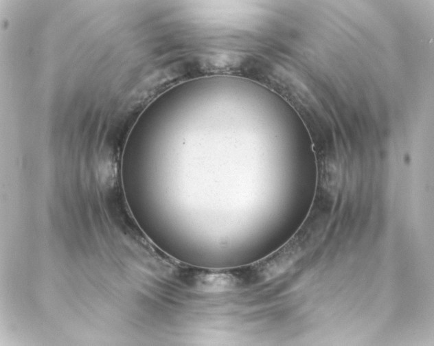 X0000088440324200705291614