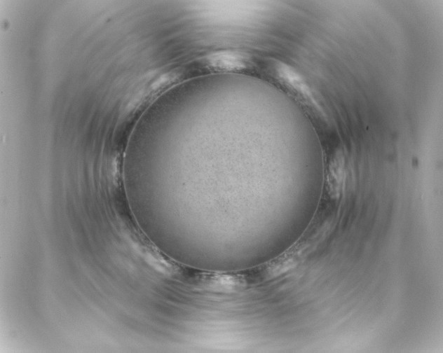 X0000088440330200705291614