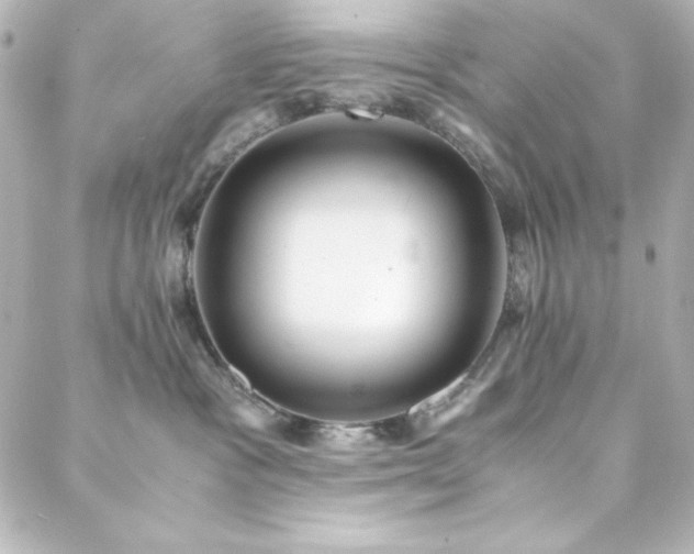 X0000088440333200705291614