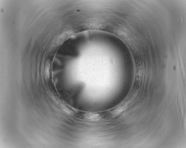 X0000088440334200705291614