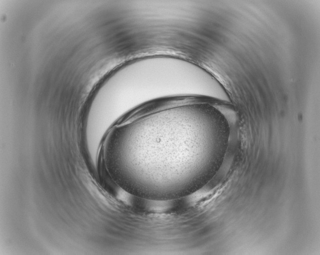X0000088440350200705291613