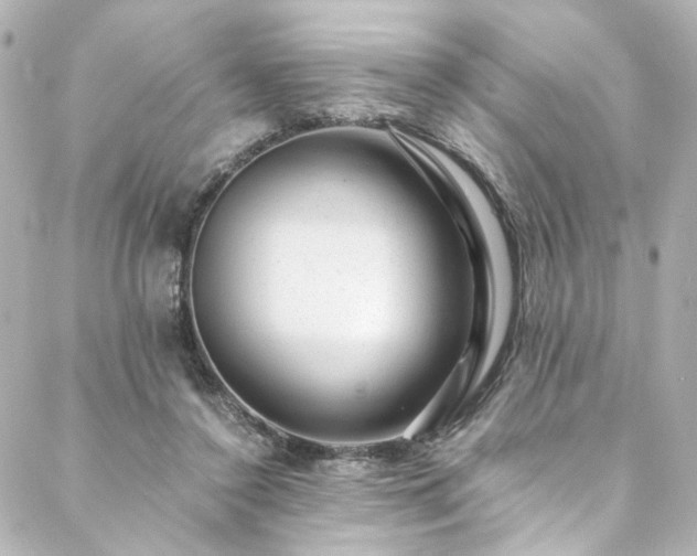 X0000088440356200705291613