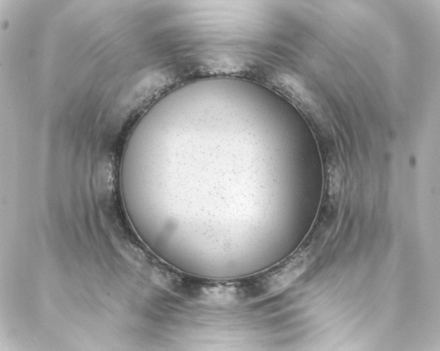 X0000088440362200705291613