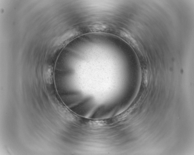 X0000088440378200705291614