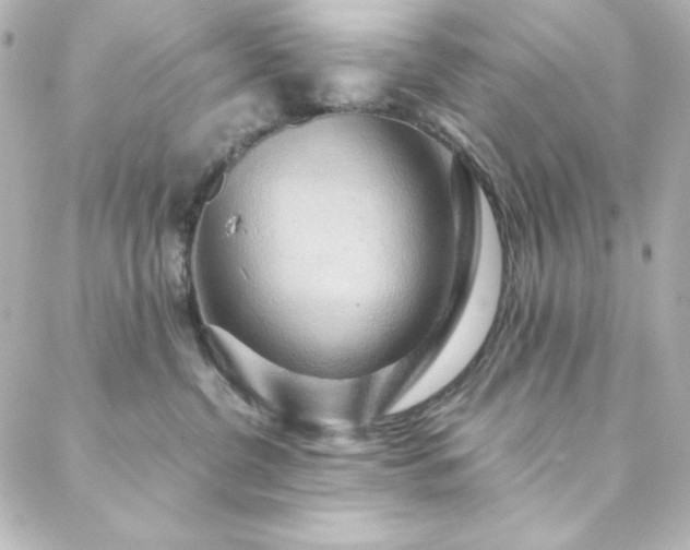 X0000088440380200705291614