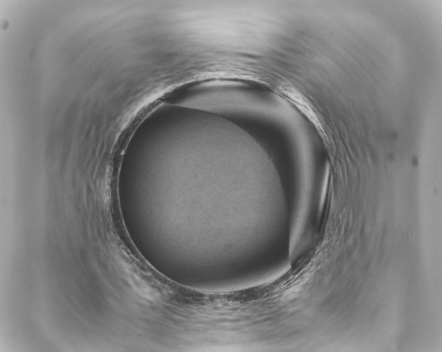 X0000088440387200705291613