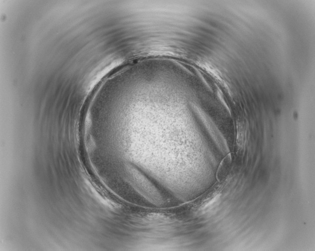 X0000088440390200705291613
