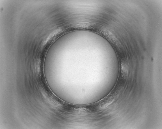 X0000088440396200705291613
