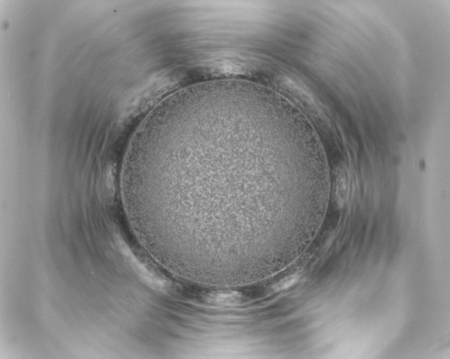 X0000088440410200705291612