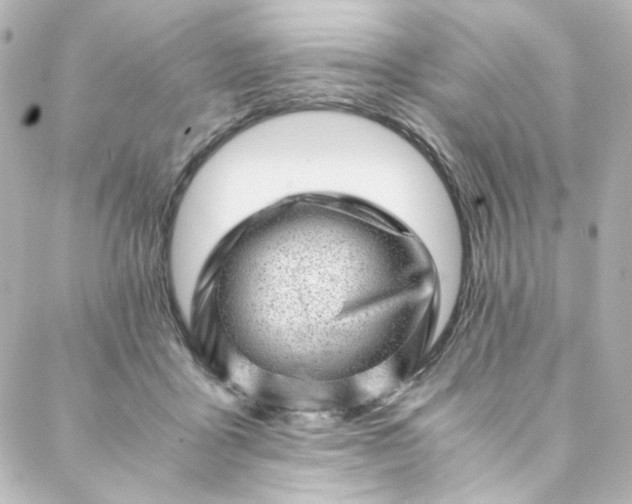 X0000088440411200705291612