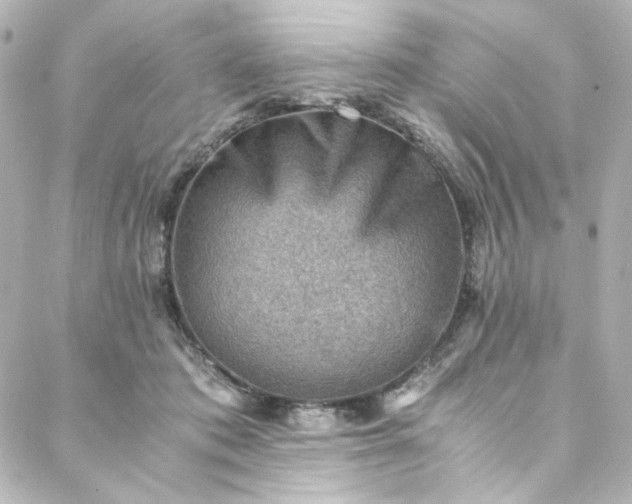 X0000088440413200705291612