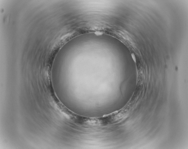 X0000088440415200705291612
