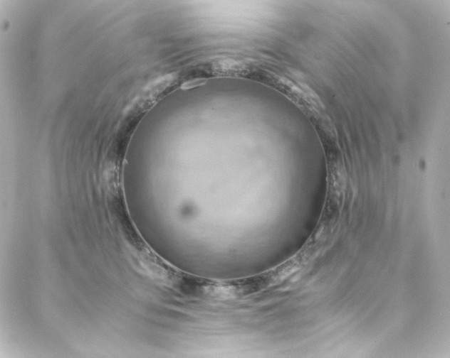 X0000088440419200705291612