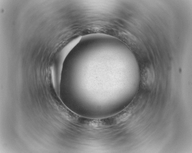 X0000088440420200705291612