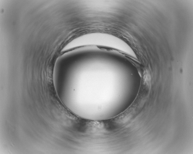 X0000088440421200705291612