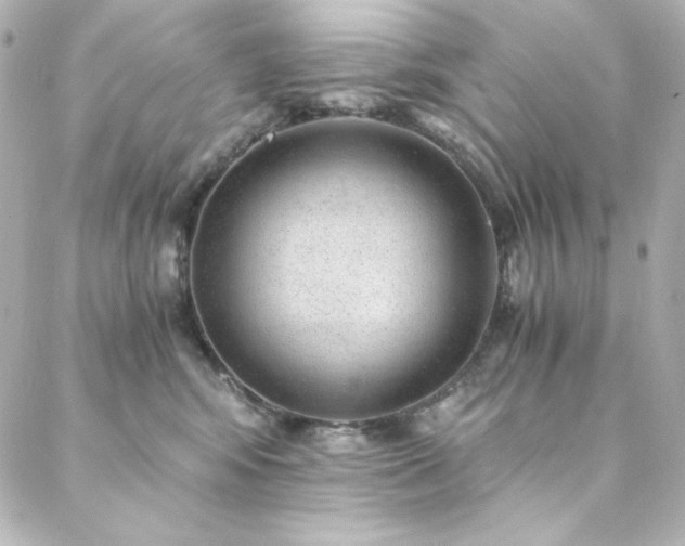 X0000088440424200705291612
