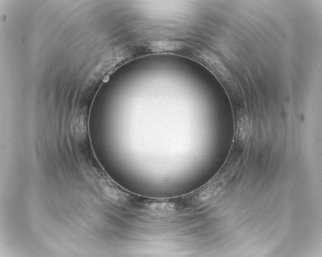 X0000088440426200705291612