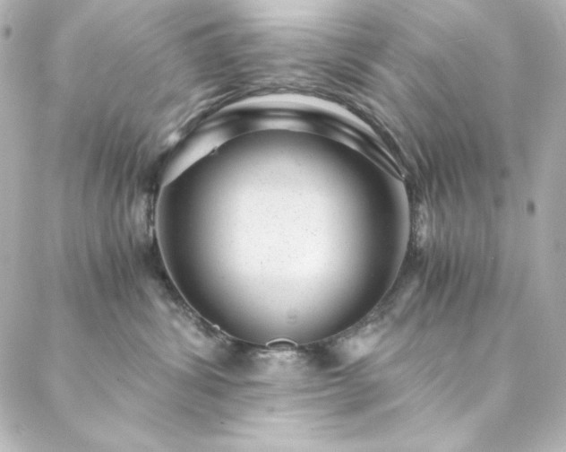 X0000088440428200705291612