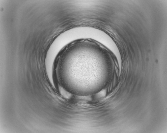 X0000088440429200705291612