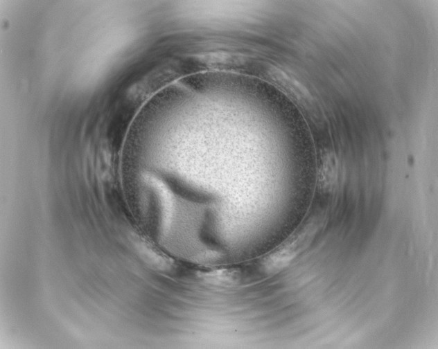 X0000088440430200705291612