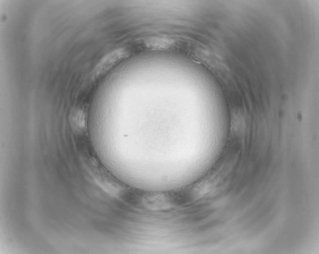 X0000088440431200705291612