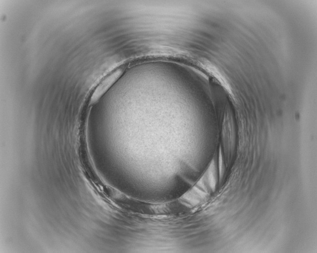 X0000088440436200705291611