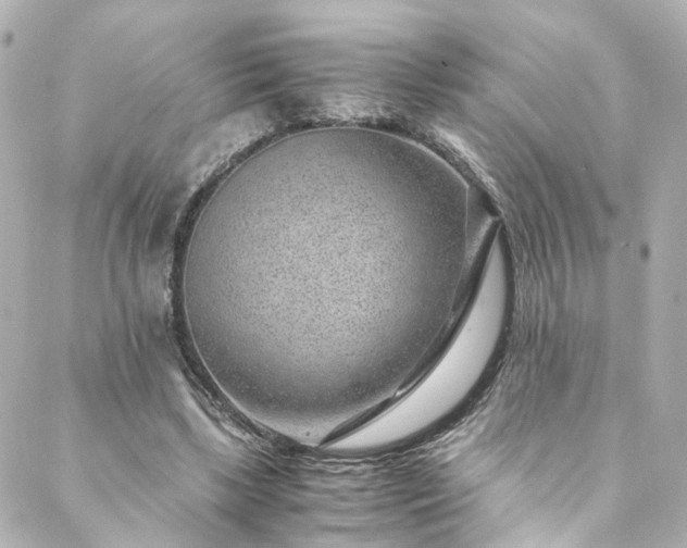 X0000088440443200705291611