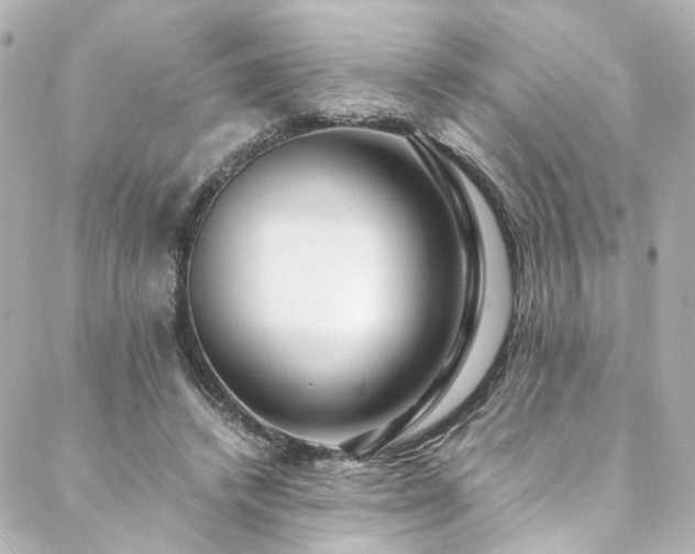 X0000088440448200705291612