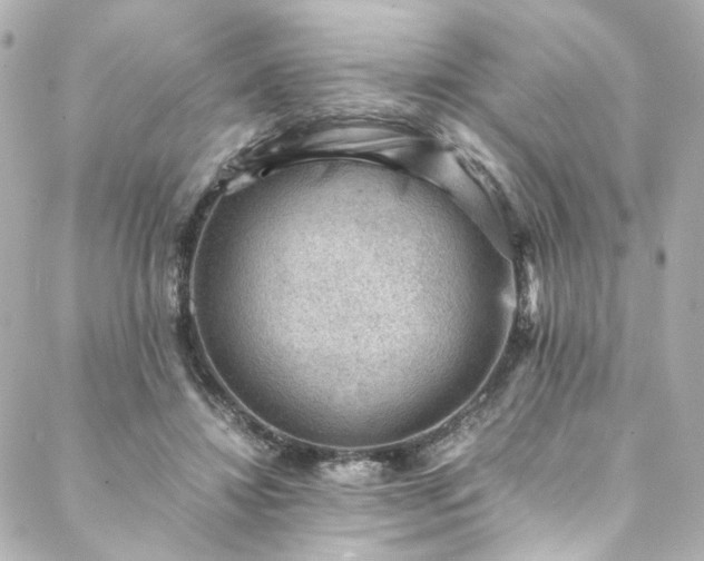 X0000088440452200705291612