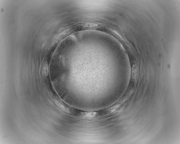X0000088440474200705291612