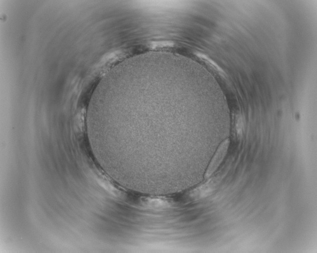 X0000088440475200705291612