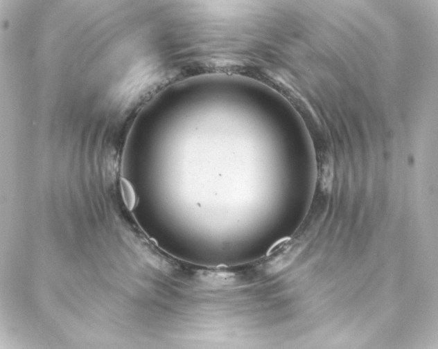 X0000088440476200705291612