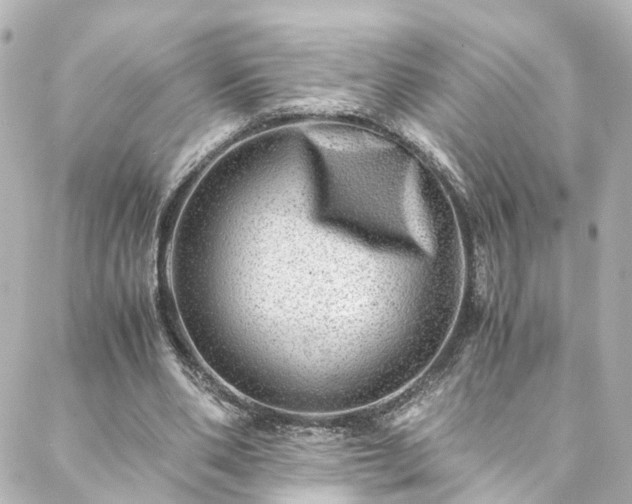 X0000088440486200705291611