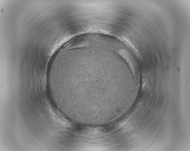 X0000088440488200705291611