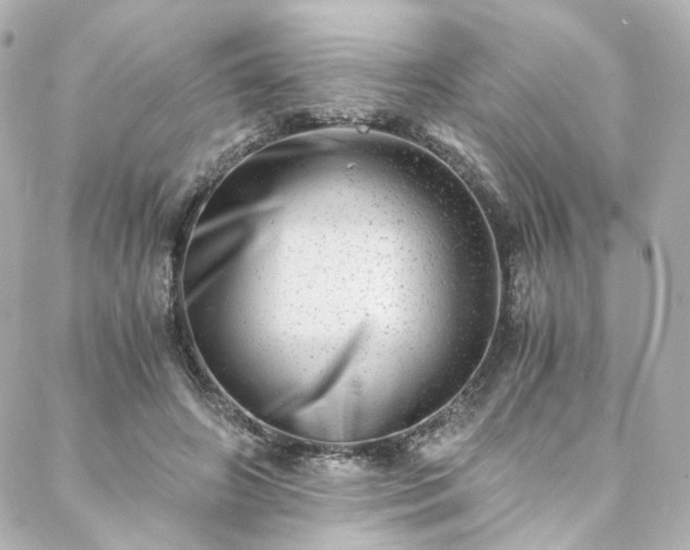X0000088440498200705291611