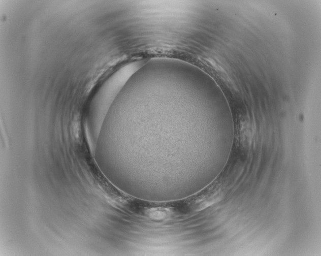 X0000088440508200705291611