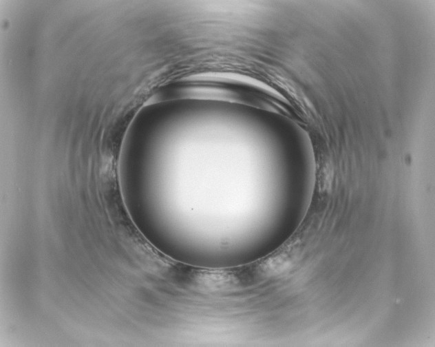 X0000088440521200705291611