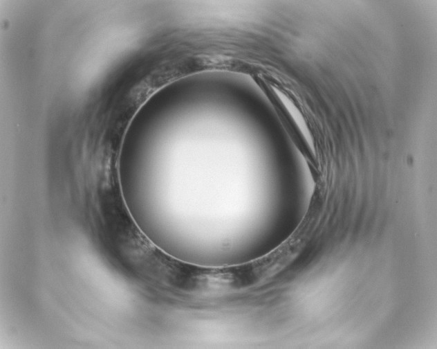 X0000088440525200705291611